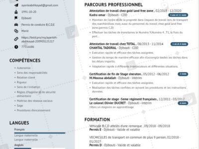 Objet: Job for the Position of DriverDear (Djibouti).